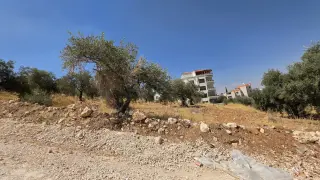 Land for sale in Shafa Badran – photo 2