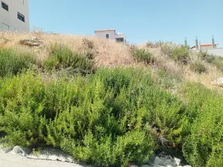 Land for sale in Abu Nsair – photo 4