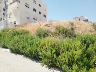 Land for sale in Abu Nsair