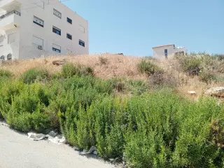Land for sale in Abu Nsair – photo 5