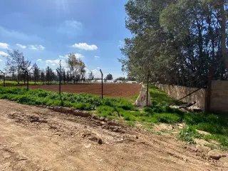 Land for sale in Al Taneeb – photo 2