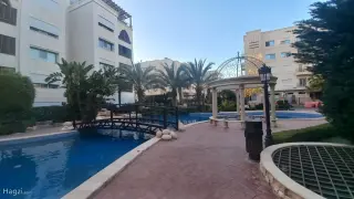 الصورة 11 من 12