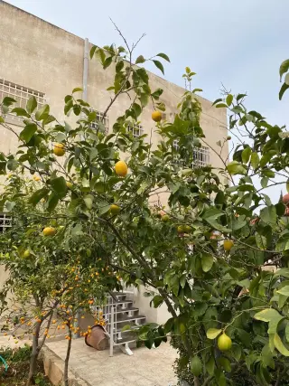 فيلا للبيع في Al-Qadisyeh - Rusaifeh – صورة 13