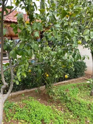 فيلا للبيع في Al-Qadisyeh - Rusaifeh – صورة 12