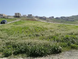 Villa for sale in Graiba – photo 15