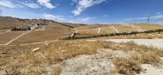 Land for sale in Graiba – photo 5