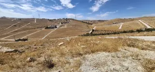 Land for sale in Graiba – photo 6