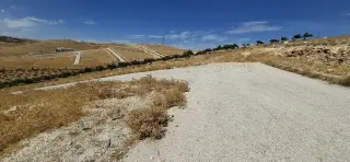 Land for sale in Graiba – photo 8