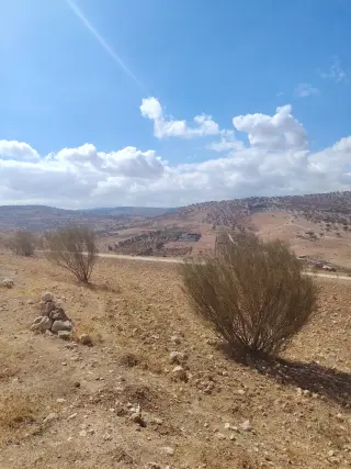 Land for sale in Sarout – photo 3