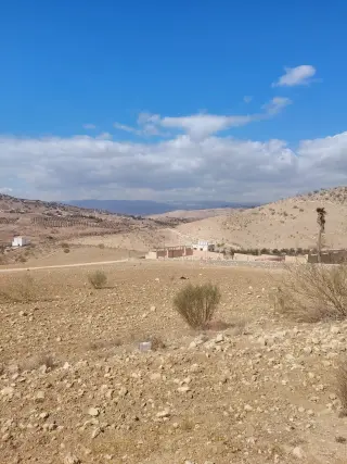 Land for sale in Sarout