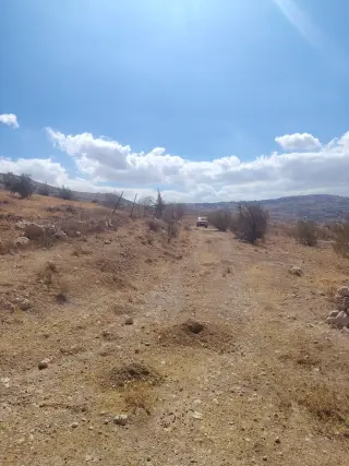 Land for sale in Sarout – photo 5