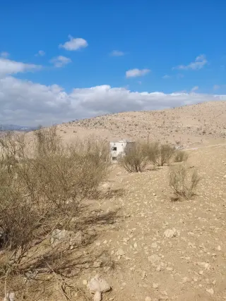Land for sale in Sarout – photo 10