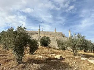Land for sale in Sarout – photo 4