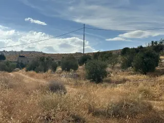 Land for sale in Sarout – photo 2