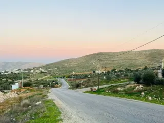 Land for sale in Sarout – photo 7