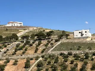 Land for sale in Um Rummanah