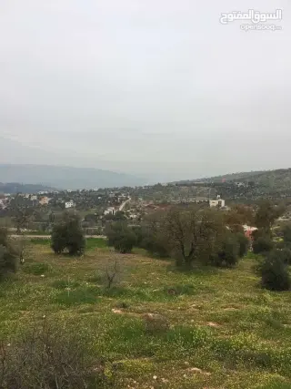 أرض للبيع في Al-Alouk – صورة 3