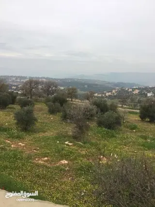 أرض للبيع في Al-Alouk – صورة 4