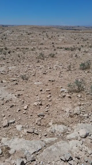 Land for sale in Al Hashemieh – photo 2