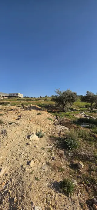 Land for sale in Al-Kamsha – photo 4