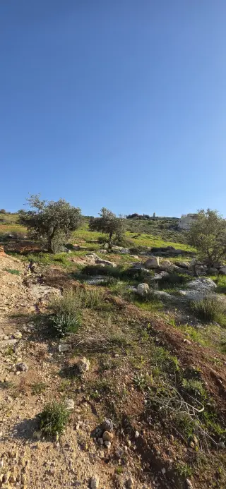 Land for sale in Al-Kamsha – photo 5
