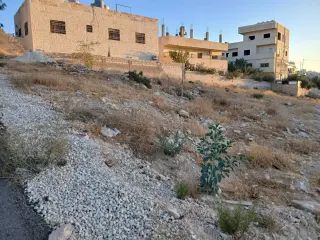 أرض للبيع في Dahiet Al Madena Al Monawwara