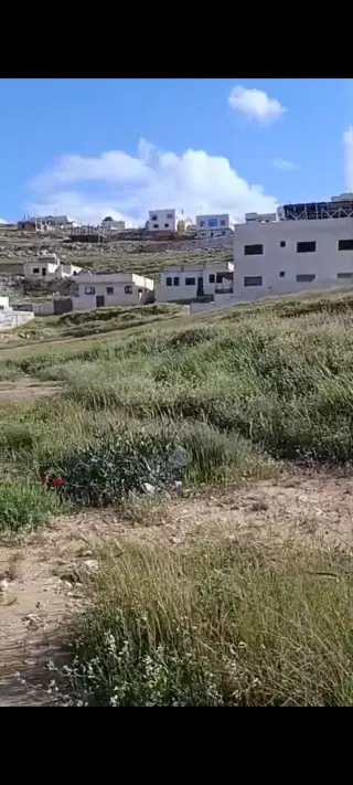 Land for sale in Shomer – photo 2