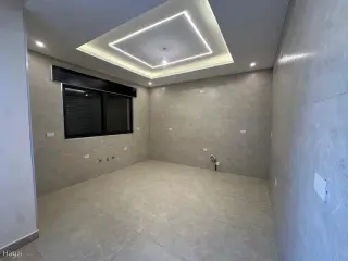الصورة 3 من 12
