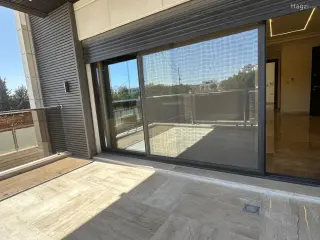الصورة 1 من 12