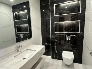 الصورة 2 من 12