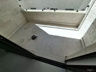 الصورة 11 من 12