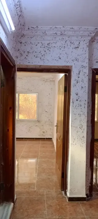 Apartment for rent in Al Husn – photo 7