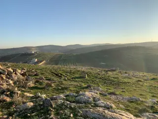 أرض للبيع في Al Husn – صورة 3