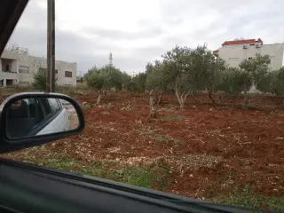 Land for sale in Al Sareeh – photo 6