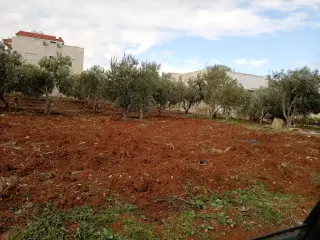 Land for sale in Al Sareeh – photo 2
