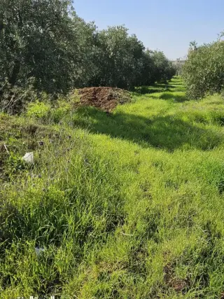 أرض للبيع في Bushra – صورة 3