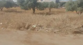Land for sale in Bushra – photo 3
