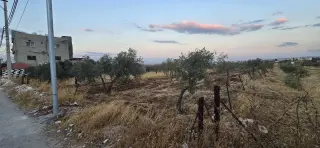 Land for sale in An-Nuayyimah