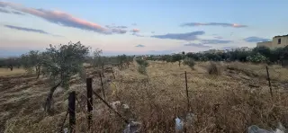 Land for sale in An-Nuayyimah – photo 2