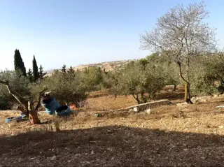 أرض للبيع في Bait Ras