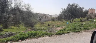 Land for sale in Bait Ras – photo 2