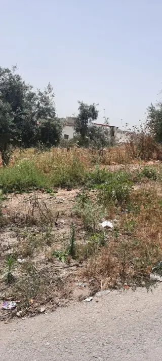 Land for sale in Bait Ras – photo 8