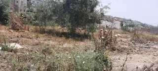 Land for sale in Bait Ras – photo 7