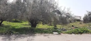 Land for sale in Bait Ras – photo 4