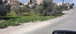 Land for sale in Bait Ras – photo 5