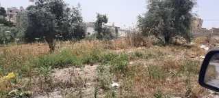 Land for sale in Bait Ras – photo 6