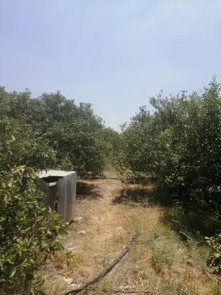 Land for sale in North Shuna – photo 11