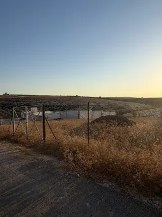 Land for sale in Kufr Jayez
