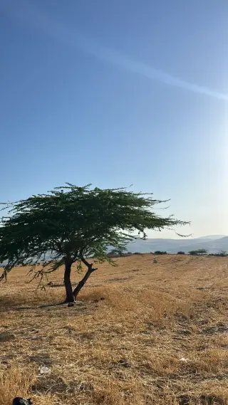 Land for sale in Umm Qais – photo 4