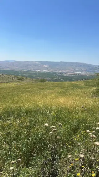 Land for sale in Umm Qais – photo 3